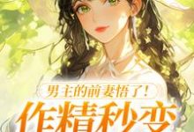 (全文)男主的前妻悟了!作精秒变粘人精热门小说排行榜,男主的前妻悟了!作精秒变粘人精许岁宁霍青山全章小说阅读-小智文学