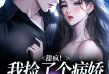 (全文)甜疯！我捡了个病娇大佬当老公完结小说推荐宋知暖霍北枭全本书籍阅读-小智文学