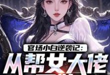 官场小白逆袭记:从帮女大佬开始完整版小说,官场小白逆袭记:从帮女大佬开始唐诚李文静全章小说阅读-小智文学