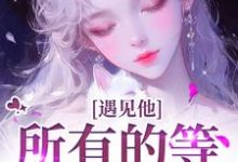 遇见他，所有的等待都值得夏颜谭正东免费小说遇见他，所有的等待都值得推荐完结小说-小智文学