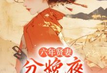 (全文)六年贤妻,分娩夜心死换和离姜玉筝沈宴沉小说推荐,六年贤妻,分娩夜心死换和离全章小说阅读-小智文学