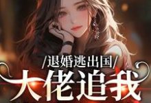 退婚逃出国，大佬追我满世界跑（江野崎楚灵兮）全章小说阅读-小智文学