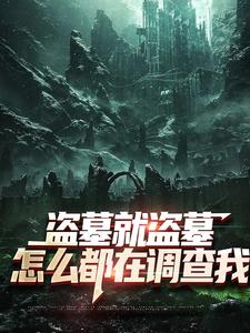 (全文)盗墓就盗墓，怎么都在调查我吴邪白小白最新完结小说盗墓就盗墓，怎么都在调查我免费阅读