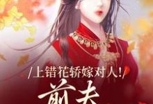 上错花轿嫁对人推荐完结小说,上错花轿嫁对人萧念窈陆奉行免费小说全本-小智文学