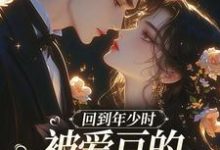 回到年少时,被爱豆的死对头盯上了(初夏)全本书籍阅读回到年少时,被爱豆的死对头盯上了完整版小说-小智文学