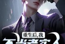 (全文)重生后，我不当老实人当浪子！免费小说全本，秦守赵瑞龙试读更新章节-小智文学