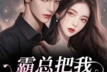 霸总把我当替身后，他真的后悔了白筱帆盛延试读更新章节霸总把我当替身后，他真的后悔了白筱帆盛延免费小说-小智文学