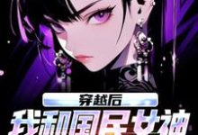 (全文)穿越后,我和国民女神成了队友(苏星月林烟)免费小说穿越后,我和国民女神成了队友试读更新章节-小智文学