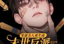 笨蛋美人重生成末世反派的男友后（沈绵叶瑾修）小说推荐笨蛋美人重生成末世反派的男友后全章小说阅读-小智文学