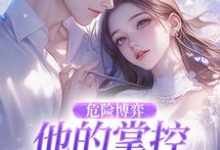(全文)危险博弈:他的掌控与她的反杀免费小说全本,叶时欢试读更新章节-小智文学