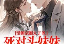 错撩京圈太子爷,死对头妹妹成真爱(叶清璃段鹤野)全本书籍阅读错撩京圈太子爷,死对头妹妹成真爱完整版小说-小智文学
