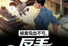 被禽吸血不亏，反手喜提航母许一民刘岚完结小说推荐，被禽吸血不亏，反手喜提航母全章小说阅读-小智文学