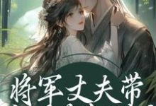 将军丈夫带白月光凯旋?我改嫁王爷(萧定颐卫芙)全章小说阅读-小智文学