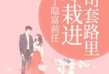 甩了隐富前任，却栽进上司套路里林昭陆景淮免费小说甩了隐富前任，却栽进上司套路里推荐完结小说-小智文学