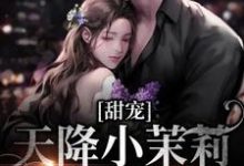(全文)甜宠：天降小茉莉住进了我家(沈津南林听)全本免费在线阅读-小智文学