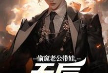 (全文)偷窥老公带娃，天后坐不住了陆辰全本免费在线阅读-小智文学