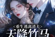 重生逃离渣夫，天降竹马太会钓推荐完结小说重生逃离渣夫，天降竹马太会钓(姜矜贺祈年)免费小说全本-小智文学