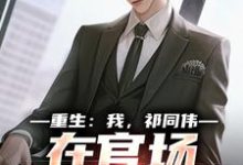 我,祁同伟,在官场大放光彩完整版小说,我,祁同伟,在官场大放光彩祁同伟侯亮平全章小说阅读-小智文学