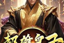 超雄皇子推荐完结小说超雄皇子(萧凡)免费小说全本-小智文学