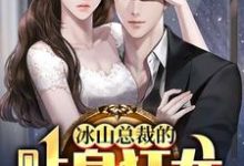 (全文)冰山总裁的贴身狂龙沈念全本免费在线阅读-小智文学