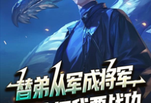 替弟从军成将军，归来问我要战功推荐完结小说，替弟从军成将军，归来问我要战功叶临渊免费小说全本-小智文学