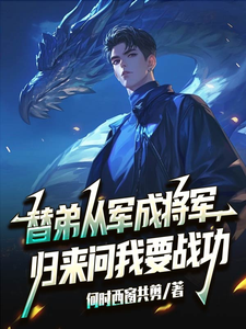 替弟从军成将军，归来问我要战功推荐完结小说，替弟从军成将军，归来问我要战功叶临渊免费小说全本