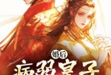 婚后,病弱皇子把我宠上天(司珩云婳)全章小说阅读-小智文学