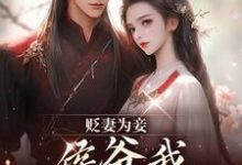 (全文)贬妻为妾,侯爷我不伺候啦(慎如余启)免费小说贬妻为妾,侯爷我不伺候啦试读更新章节-小智文学