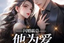 (全文)闪婚霸总，他为爱抛弃一切苏绿柔厉墨焱完结小说推荐闪婚霸总，他为爱抛弃一切试读更新章节-小智文学
