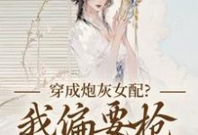 (全文)穿成炮灰女配?我偏要抢女主资源(顾柠芸慕辰泽)全本免费在线阅读-小智文学