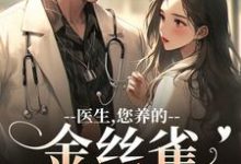医生,您养的金丝雀要飞走了最新完结小说医生,您养的金丝雀要飞走了苏慕春丁嘉朗免费小说-小智文学