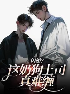 闪婚？这奶狗上司真难缠赵芜鱼邓北辰完结小说推荐，闪婚？这奶狗上司真难缠全章小说阅读