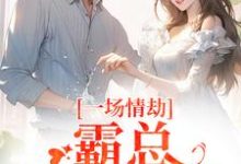 一场情劫，霸总追妻不休推荐完结小说，一场情劫，霸总追妻不休梁怀茵卓靖诗免费小说全本-小智文学