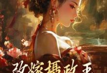 (全文)摄政王复仇虐渣妹(萧怀沣骆宁)全本免费在线阅读-小智文学