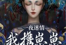 (全文)一夜迷情，我携崽崽俘获他（云素予段凌霁）试读更新章节一夜迷情，我携崽崽俘获他免费小说-小智文学