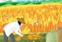 闻星落谢观澜宠她入骨世子爷全本免费在线阅读-小智文学