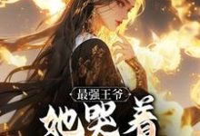 最强王爷：她哭着跟我求和热门小说排行榜最强王爷：她哭着跟我求和杨凡免费小说全本-小智文学