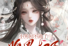 (全文)小哭包不追了,腹黑权臣悔断肠(郑玉晚)全本免费在线阅读-小智文学