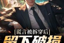 (全文)谎言被拆穿后，留下破损的婚姻（张齐）试读更新章节谎言被拆穿后，留下破损的婚姻免费小说-小智文学