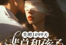 失明1099天，裴总和孩子我都不要了谢南枝免费小说失明1099天，裴总和孩子我都不要了推荐完结小说-小智文学