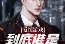 爱情游戏,到底谁是谁的替身?推荐完结小说,爱情游戏,到底谁是谁的替身?顾北免费小说全本-小智文学
