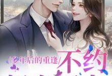 (全文)多年后的重逢,不约,姐有男友禾念安池少东全本免费在线阅读-小智文学