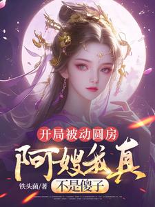 开局被动圆房，阿嫂我真不是傻子（许修年）全章小说阅读