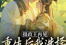 摄政王再见,重生后我选择绿茶小皇帝热门小说排行榜摄政王再见,重生后我选择绿茶小皇帝萧轻羽免费小说全本-小智文学