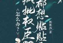 怎么办?疯批权臣每天都想贴贴我完整版小说,怎么办?疯批权臣每天都想贴贴我顾轻舟全章小说阅读-小智文学