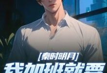 秦时明月:我加班就要被扣经验值(赵子珏)全章小说阅读-小智文学