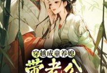 (全文)穿越成童养媳,带老公荒年发大财(林十七)全本书籍阅读穿越成童养媳,带老公荒年发大财免费小说全本-小智文学