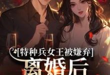 (全文)特种兵女王被嫌弃,离婚后马甲爆了(乔沁顾沉霆)免费小说特种兵女王被嫌弃,离婚后马甲爆了试读更新章节-小智文学
