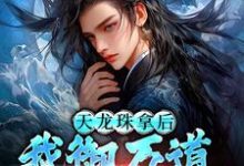 天龙珠拿后，我御万道吞四海江尘试读更新章节天龙珠拿后，我御万道吞四海江尘免费小说-小智文学