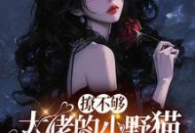 (全文)撩不够，大佬的小野猫又欲又嚣张（陆晨矅）免费小说撩不够，大佬的小野猫又欲又嚣张试读更新章节-小智文学